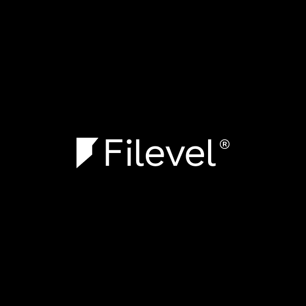 Filevel Logo